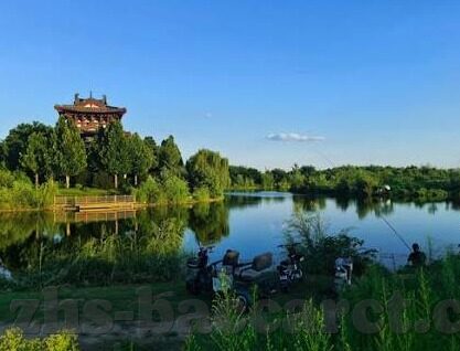 九游官方手游app-九游官方手游APP，解锁数字娱乐的新篇章